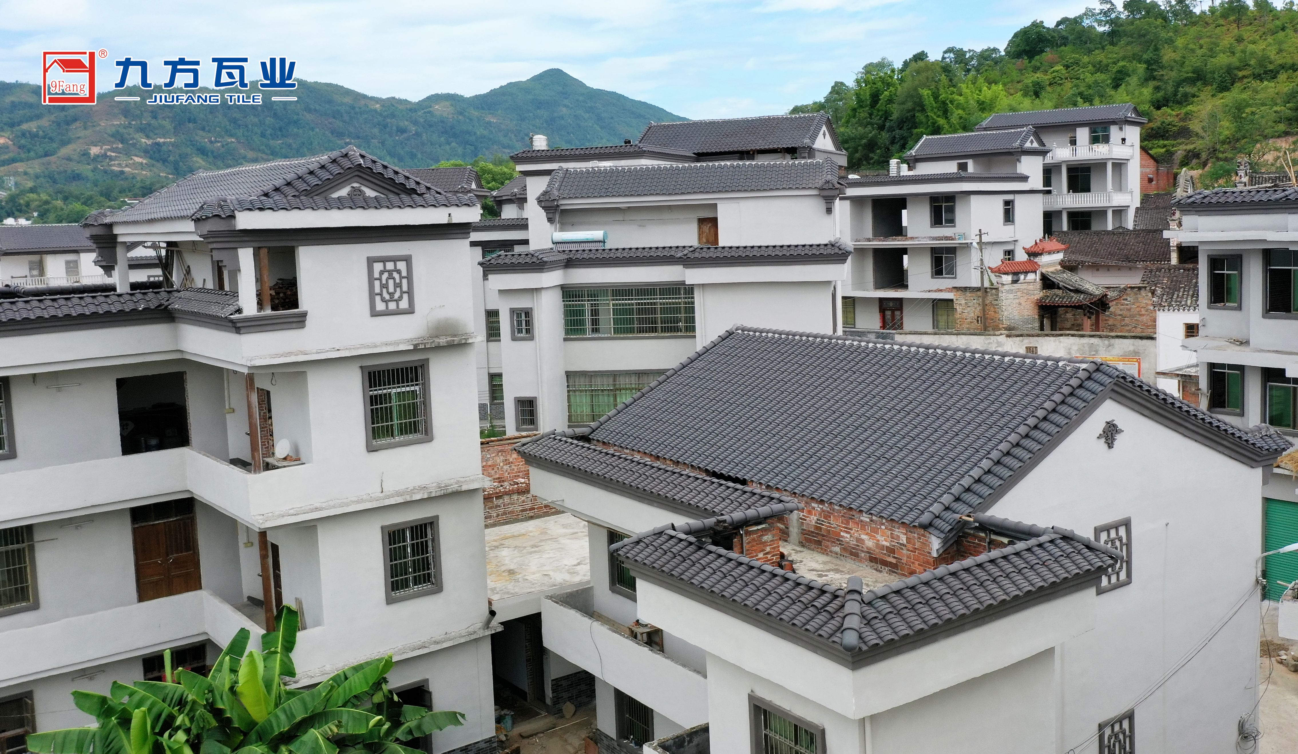 PA尊龙凯时摘要2022第24期