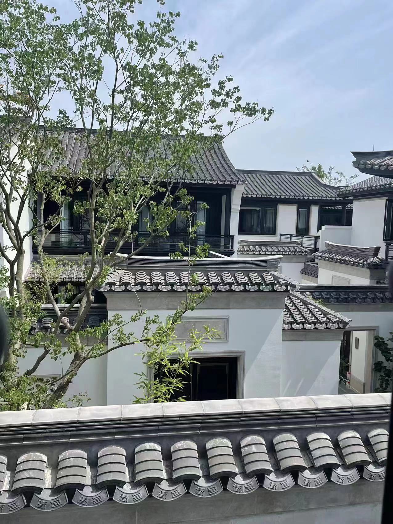 PA尊龙凯时摘要2023第27期