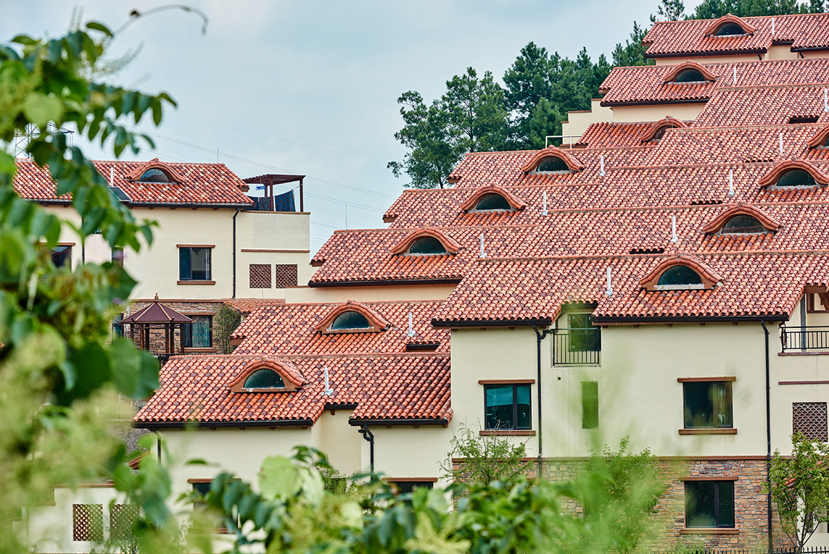 PA尊龙凯时摘要2023第29期