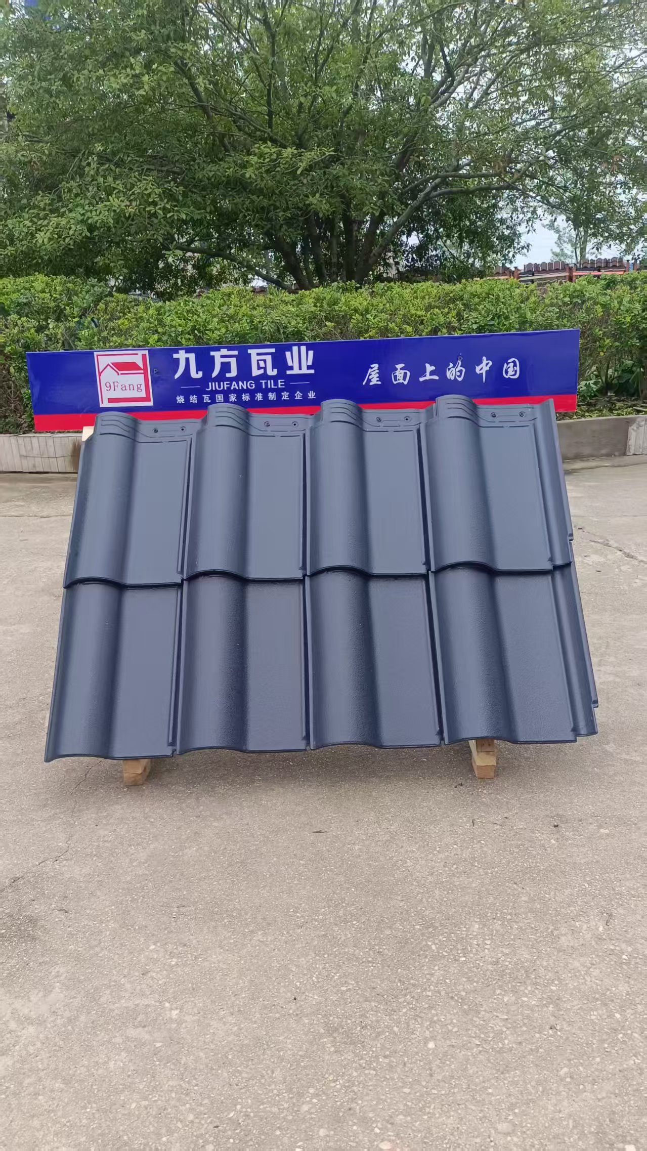 PA尊龙凯时摘要2025第16期